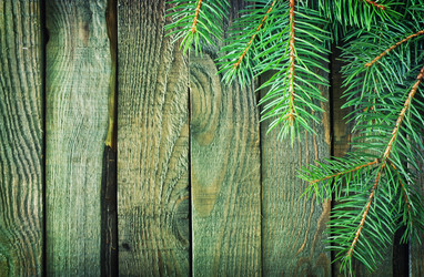 Similar image 8187691