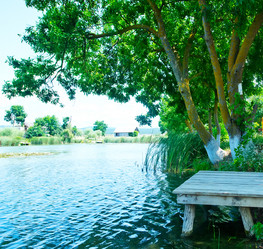 Similar image 8187812