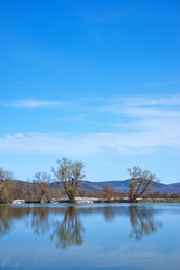 Similar image 8187813