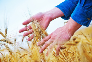 Similar image 8187828