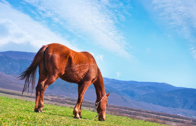 Similar image 8187837