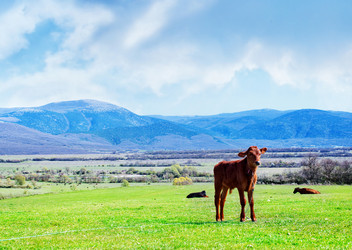 Similar image 8187838