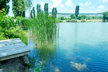 Similar image 8187840