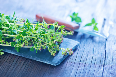 Similar image 8187854