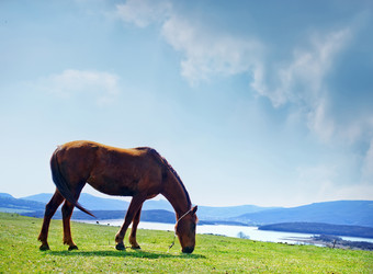 Similar image 8187866