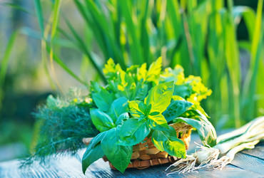 Similar image 8188009