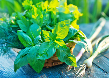 Similar image 8188017