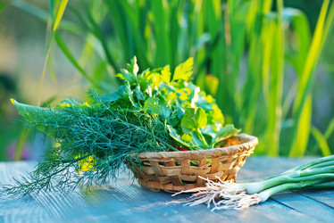 Similar image 8188018