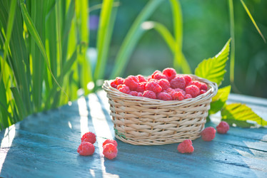 Similar image 8188032