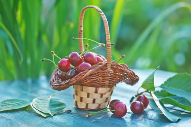 Similar image 8188040