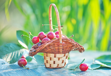 Similar image 8188042