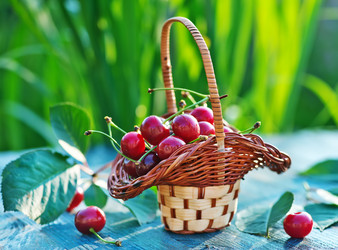 Similar image 8188043