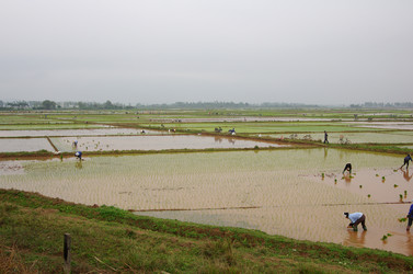 Similar image 8188070