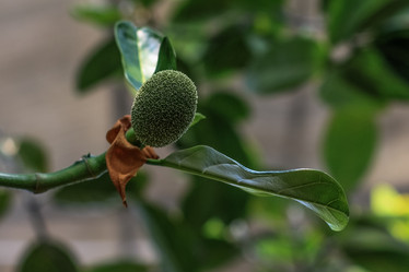 Similar image 8188112