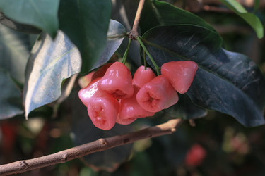 Similar image 8188113