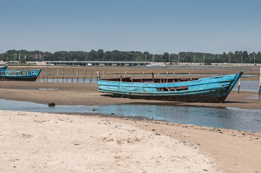 Similar image 8188115