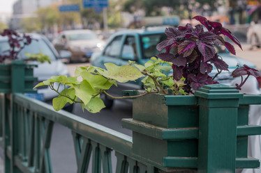 Similar image 8188123