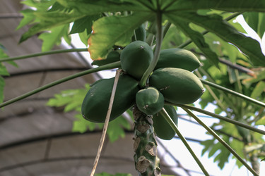 Similar image 8188135