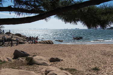 Similar image 8188136