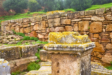 Similar image 8188145