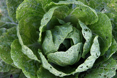 Similar image 8188180