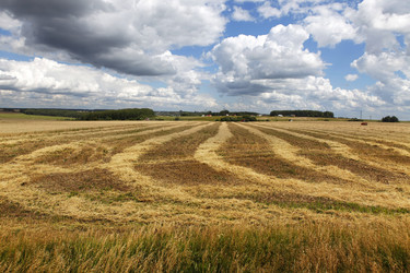 Similar image 8188181