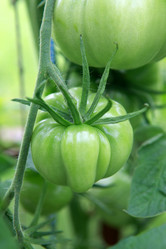 Similar image 8188182