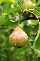 Similar image 8188183