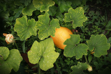 Similar image 8188184