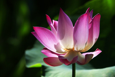 Similar image 8188191