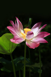 Similar image 8188192