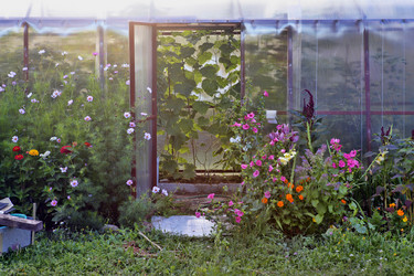 Similar image 8188196