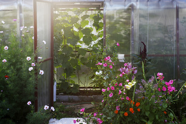 Similar image 8188199