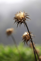 Similar image 8188200