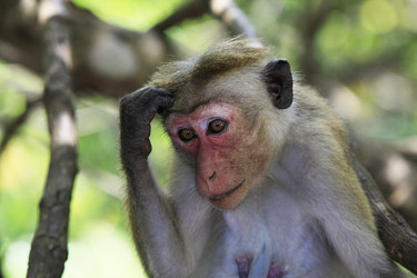 Similar image 8188205