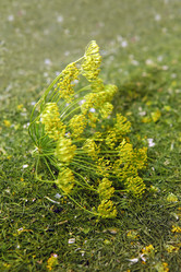 Similar image 8188208