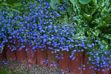 Similar image 8188337