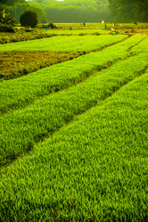 Similar image 8188408