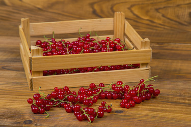 Similar image 8188443