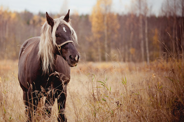 Similar image 8188449