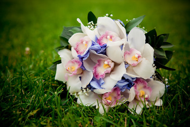 Similar image 8188451