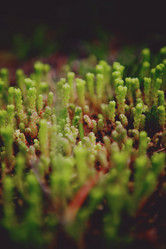 Similar image 8188455