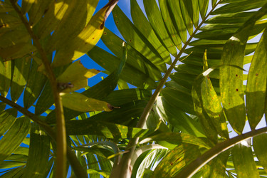 Similar image 8188457