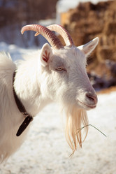 Similar image 8188460