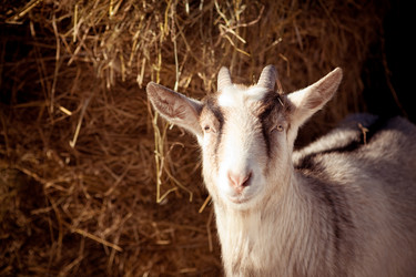 Similar image 8188461