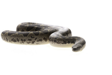 Similar image 8188466