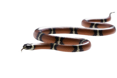 Similar image 8188488