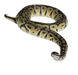 Similar image 8188491