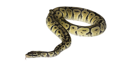 Similar image 8188492