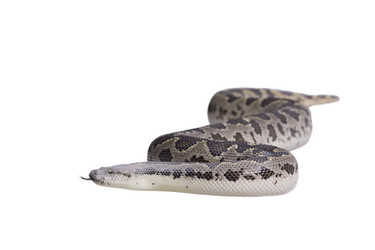 Similar image 8188495